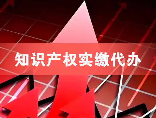 罗定知识产权实缴资本代办